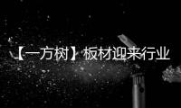 【一方树】板材迎来行业大咖，共谋发展新篇章