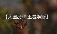 【大国品牌·王者焕新】新工艺	、新展示、新政策