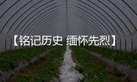 【铭记历史 缅怀先烈】广东博罗
：传承抗战精神 加快推动高质量发展