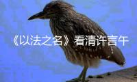 《以法之名》看清许言午的神秘身份
，才懂江敏对洪亮的算计有多狠