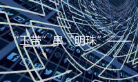 快排公司十年历程，霸屏兔 seo 的崛起与坚守