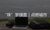 “珠”梦绿茵｜点燃城市活力！珠海青少年足球锦标赛激战正酣