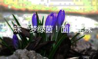 “珠”梦绿茵！面向全珠海�，征集足球相关作品！