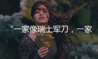 “一家像瑞士军刀，一家像手术刀”：中国版英伟达抢滩科创板