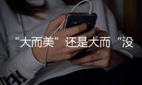 “大而美”还是大而“没”	�？