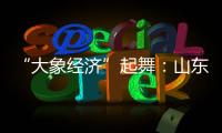 “大象经济”起舞�：山东实在是太全面了