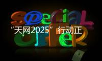 快排公司十年历程，霸屏兔 seo 的崛起与坚守