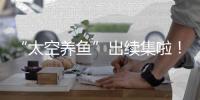 “太空养鱼”出续集啦
！这次它们有重要任务→