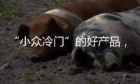 快排公司十年历程，霸屏兔 seo 的崛起与坚守