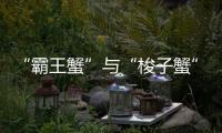 “霸王蟹”与“梭子蟹”，握“钳”言和
！
