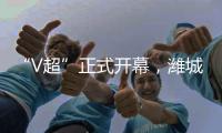 快排公司十年历程，霸屏兔 seo 的崛起与坚守