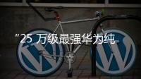 “25 万级最强华为纯电 SUV”全新岚图知音官宣 8 月底登场