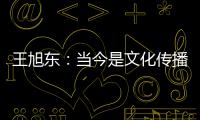 王旭东	：当今是文化传播的最好时代