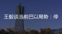 王毅谈当前巴以局势：停火止暴是当务之急