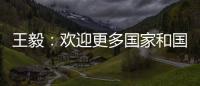 王毅
：欢迎更多国家和国际组织加入“支持非洲发展伙伴倡议”