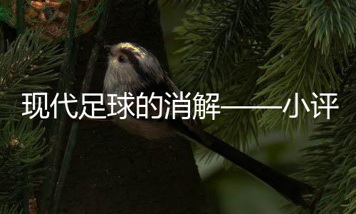 足球身前是评切维蒂尼亚