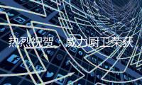 快排公司十年历程，霸屏兔 seo 的崛起与坚守