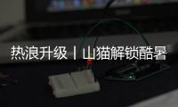 热浪升级丨山猫解锁酷暑施工新姿势
！