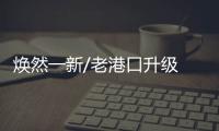 快排公司十年历程，霸屏兔 seo 的崛起与坚守