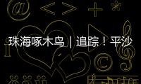 珠海啄木鸟｜追踪！平沙新城公交车站候车亭开工啦