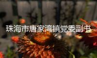 珠海市唐家湾镇党委副书记、镇长钟华接受纪律审查和监察调查