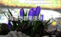 珠海落地首笔债券质押类支小再贷款DVP结算业务
