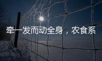 牵一发而动全身	，农食系统绿色转型谁在“突围”？｜2024企业双碳行动力调研