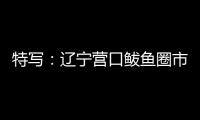 特写：辽宁营口鲅鱼圈市民以积极心态面对疫情