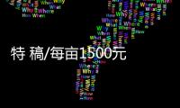 快排公司十年历程，霸屏兔 seo 的崛起与坚守