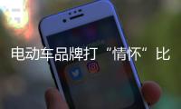 电动车品牌打“情怀”比打“价格”好