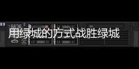 快排公司十年历程，霸屏兔 seo 的崛起与坚守