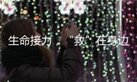 快排公司十年历程，霸屏兔 seo 的崛起与坚守