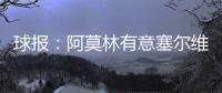 快排公司十年历程，霸屏兔 seo 的崛起与坚守