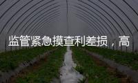快排公司十年历程，霸屏兔 seo 的崛起与坚守