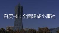白皮书：全面建成小康社会开辟人权事业新境界