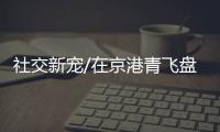 社交新宠/在京港青飞盘专场 结交新朋友