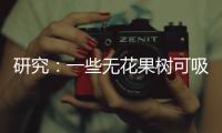 研究：一些无花果树可吸收并“石封”大气中二氧化碳