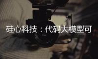 硅心科技�：代码大模型可使国有银行开发效率提升30%