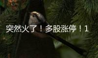 突然火了
！多股涨停！10元门票炒到500元