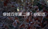 快排公司十年历程，霸屏兔 seo 的崛起与坚守