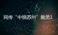 快排公司十年历程，霸屏兔 seo 的崛起与坚守