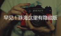 罕见！珠海这里有隐藏版黄色木棉花，枝头上“黄金万两”