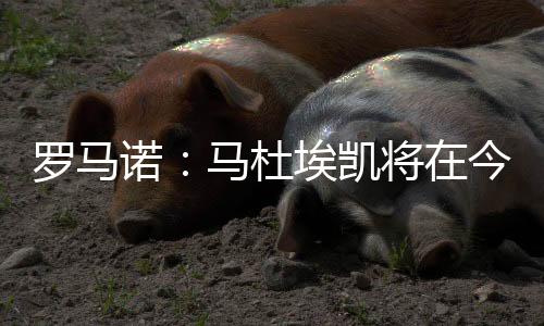 根据此前的森纳报道