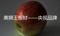 美狮王板材——央视品牌 享誉世界