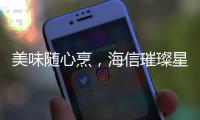 快排公司十年历程，霸屏兔 seo 的崛起与坚守