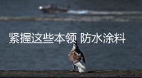 快排公司十年历程，霸屏兔 seo 的崛起与坚守