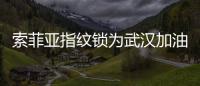 索菲亚指纹锁为武汉加油�
：樱花樱花，我想守护你