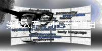 类案入库：可作参考理由，不作裁判依据
