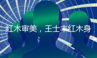 快排公司十年历程，霸屏兔 seo 的崛起与坚守