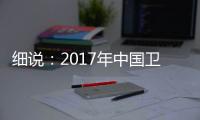 快排公司十年历程，霸屏兔 seo 的崛起与坚守